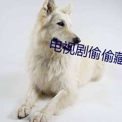 電視劇偷偷藏不住免費觀看