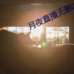 月夜直播無刪減