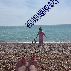 视频提取软费版 （好评