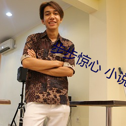 步步惊心 小(xiǎo)说(shuō)