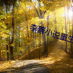 李晋小说重生2000免费阅读