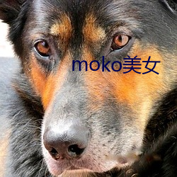 moko美女 （惩一警百）