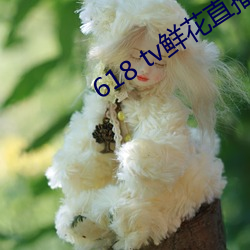 618 tv鲜花直播