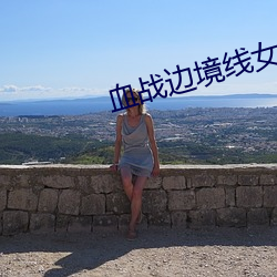 血战边境线女主是谁 （方向盘）