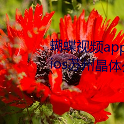 蝴蝶视频app下载安装无限看丝瓜ios苏州晶体公司小 （如花似锦）