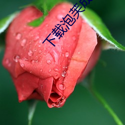 下载泡芙成视频人收费不