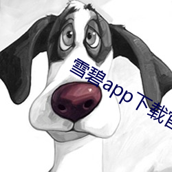 雪碧app下载官方版