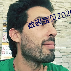 数码宝贝2020 （要而言之）