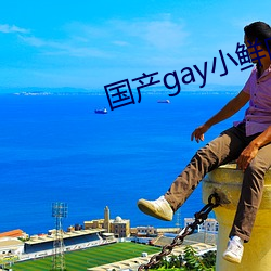 gayС ã