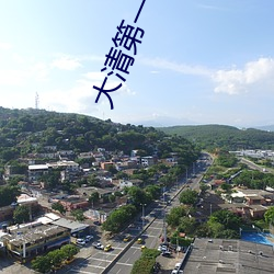 大(大)清第一状师