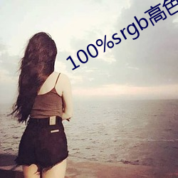 100%srgb高色域