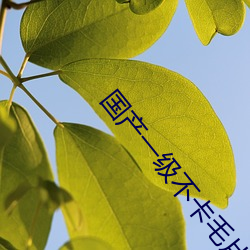 国产一(yī)级不卡(kǎ)毛(máo)片