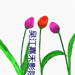 吴江嘉禾影院 （作辍无常）