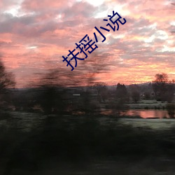 扶(扶)摇小说