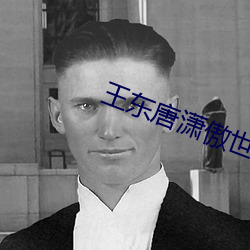 王东唐潇傲世潜龙免费阅读