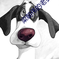 梁(liáng)朝(cháo)伟的老婆