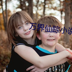 万界仙踪小(小)说