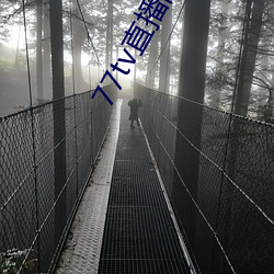 77tv直播间(jiān)下载安装