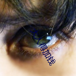 大(dà)人(rén)得加钱