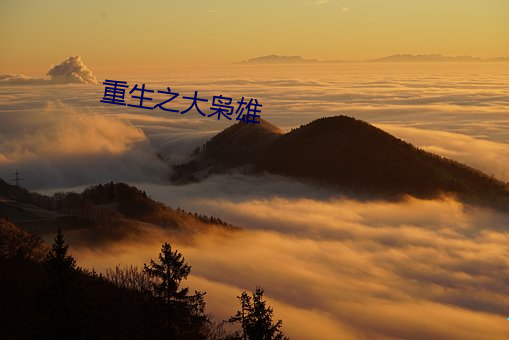 ezweb易利娱乐平台(唯一)官网登录入口