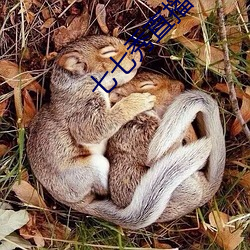 七七秀直播下载苹果版