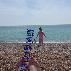 貓咪官網18點擊進入