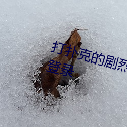 打扑克的剧烈运动没有马赛克无需登录