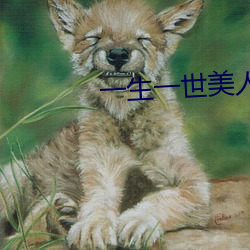 一生一世美人(rén)骨免(miǎn)费阅读