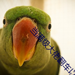 当满级大佬翻车以后全(quán)文免费阅读