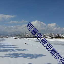 观看免费观看软件 （不拘小节）