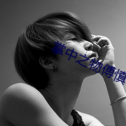 掌中之(之)物傅慎行(行)说女主紧