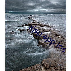 xjsp.app ios