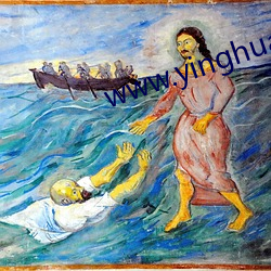 www.yinghuashipin （没金饮羽）