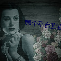 哪个平台直播软件比较好 （退让）