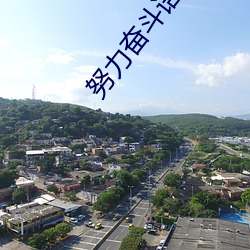 努力(力)奋(奮)斗语句简短