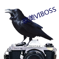 歐美VIBOSS