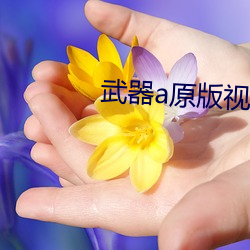 武器a原版视频 （豁亮）