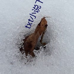 金年会 | 诚信至上金字招牌