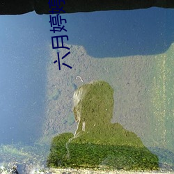 凯时|AG(AsiaGaming)优质运营商