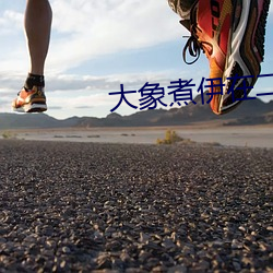 大象煮伊在二o二一久