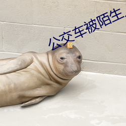 公交车被陌生人强要小说