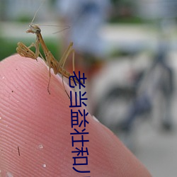 老当益壮和儿媳