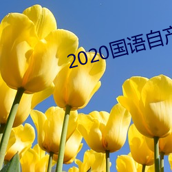 2020国语自产(産)拍在线观看