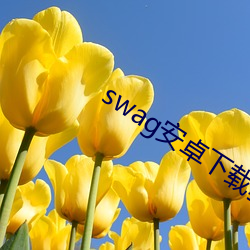 swag安卓下載教程