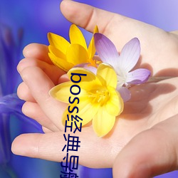 凯时|AG(AsiaGaming)优质运营商