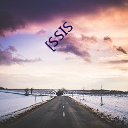 [SSIS