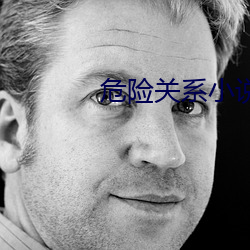 危险(xiǎn)关(guān)系小说