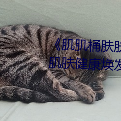 《肌肌桶肤肤免费30分》:让你的肌肤健康焕发的美容神器