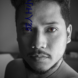 成(成)人H小游戏