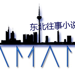 东北往(wǎng)事小(xiǎo)说